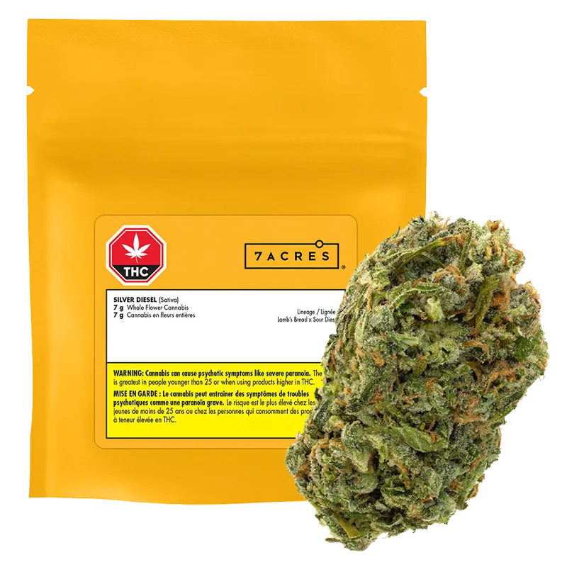 7ACRES 7 g Silver Diesel Flower