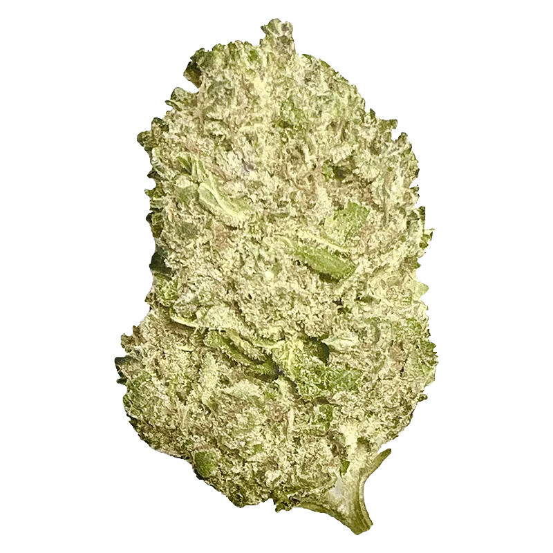 FatCat 3.5 g AAAA Kush Flower