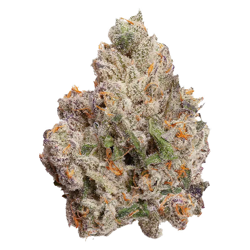 FOUR54 3.5 g Cherry Bang Bang Flower
