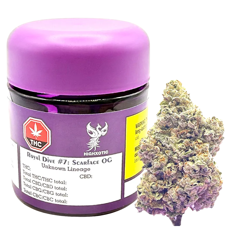 HighXotic 3.5 g Royal Dive #7: Scarface OG Flower