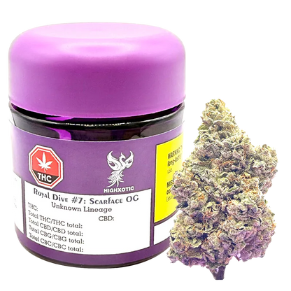 HighXotic 3.5 g Royal Dive #7: Scarface OG Flower