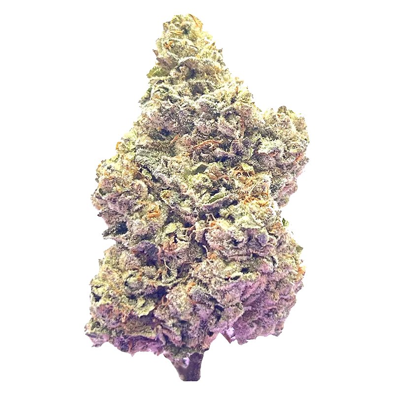 HighXotic 3.5 g Royal Dive #7: Scarface OG Flower