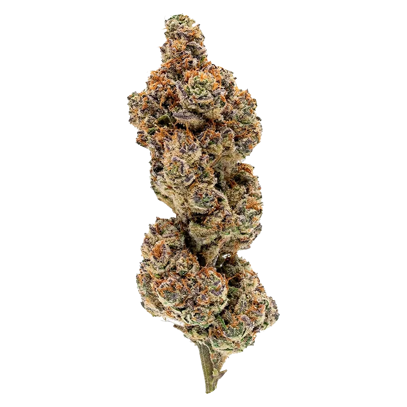 North of 28 3.5 g Apes in Space Flower