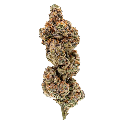 North of 28 3.5 g Apes in Space Flower
