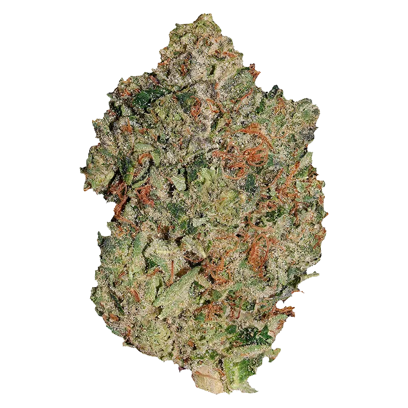 Pistol and Paris 7 g Lindsay OG Flower