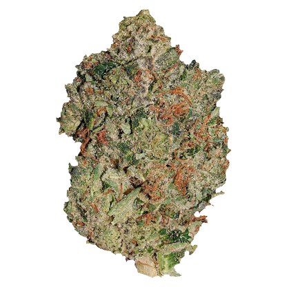 Pistol and Paris 7 g Lindsay OG Flower