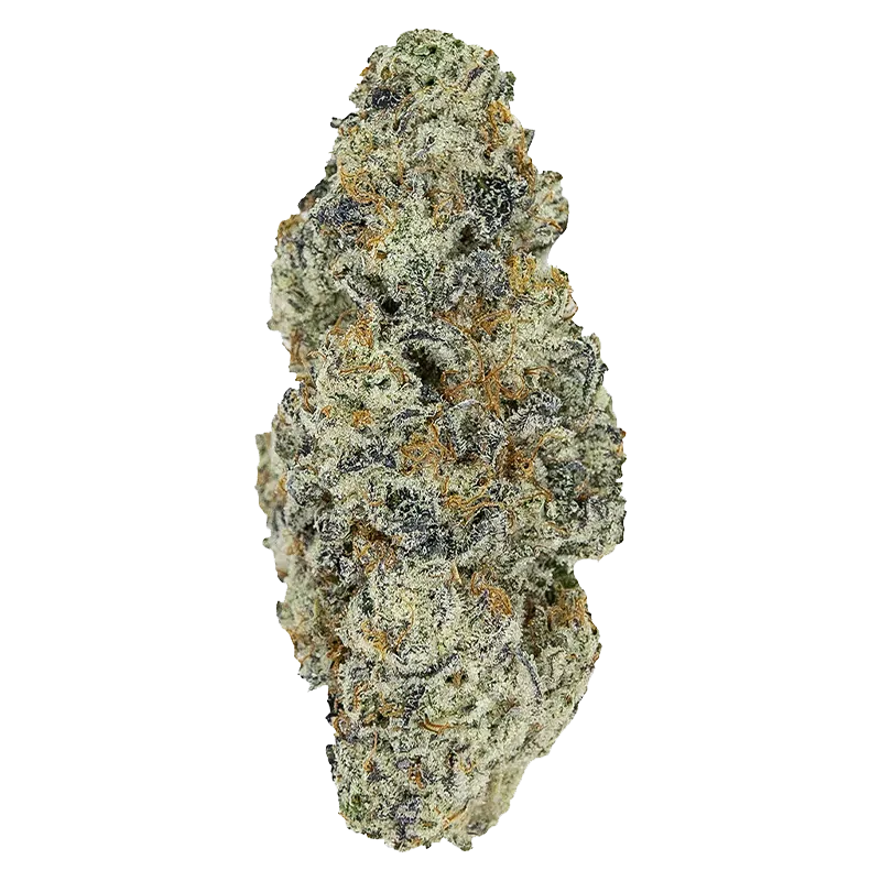 Pistol and Paris 14 g Perma Fried Flower