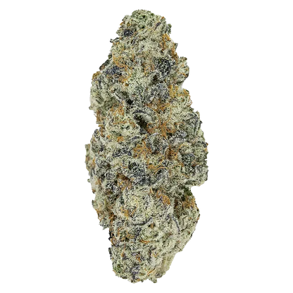 Pistol and Paris 14 g Perma Fried Flower