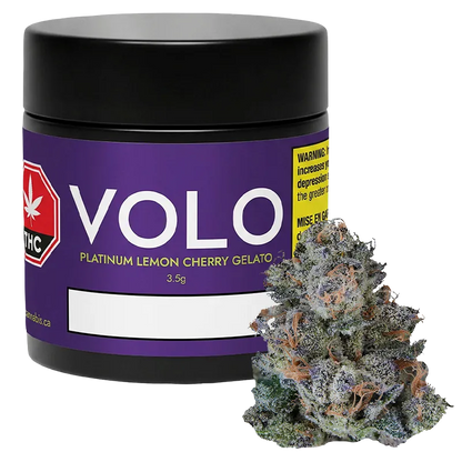 VOLO 3.5 g Platinum Lemon Cherry Gelato Flower