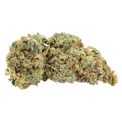 Big Bag O' Buds 28 g Northern Nights Flower