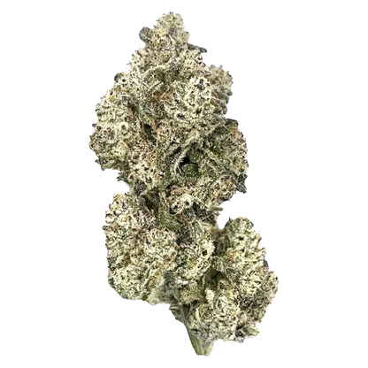 HighXotic 14 g Royal Dive #5: Purple Zombie Flower