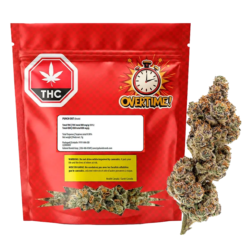 OVERTIME 7 g Punch Out Flower