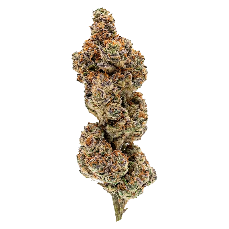 OVERTIME 7 g Punch Out Flower