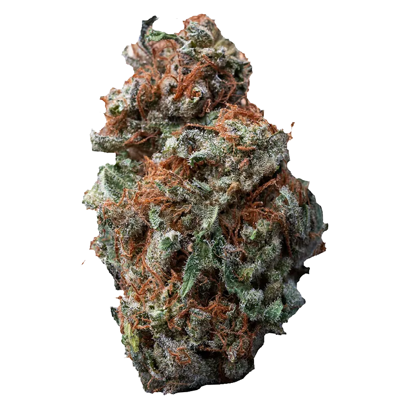 Palmetto 3.5 g Sasquatch Sap Flower