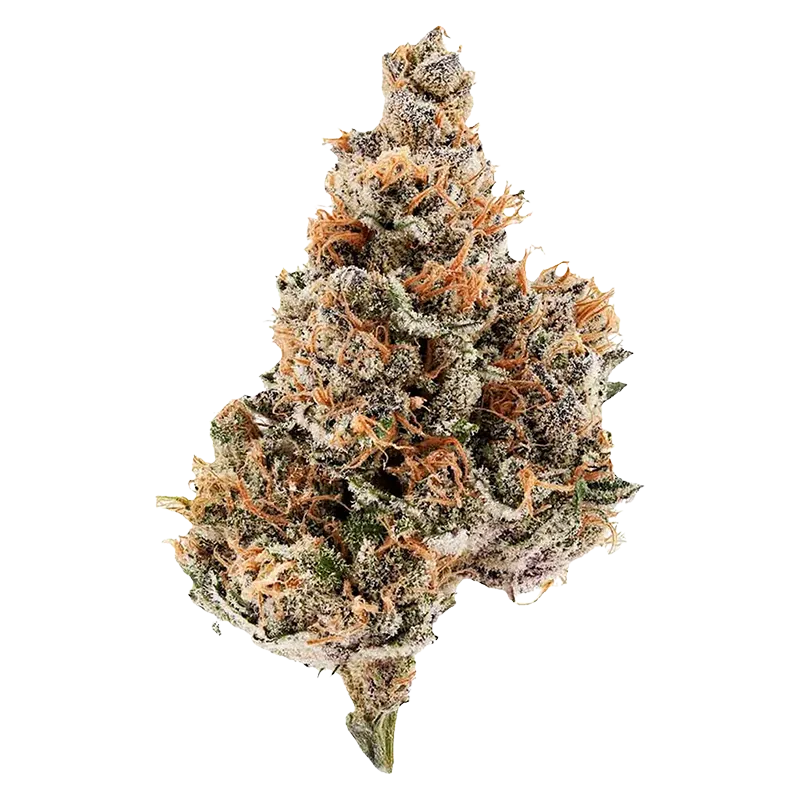 Potluck 7 g Raspberry Runtz Flower
