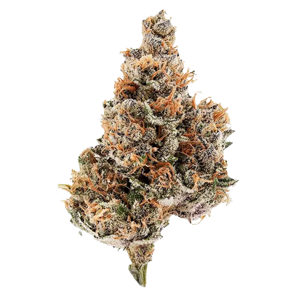 Potluck 7 g Raspberry Runtz Flower