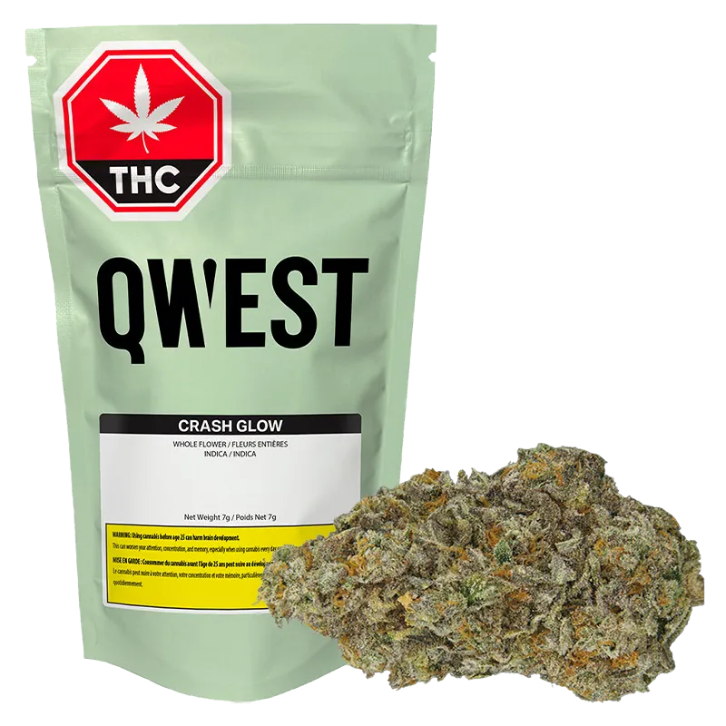 Qwest 7 g Crash Glow Craft Flower