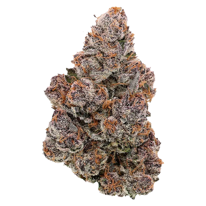 SublimeCulture 7 g Halli Berri Flower