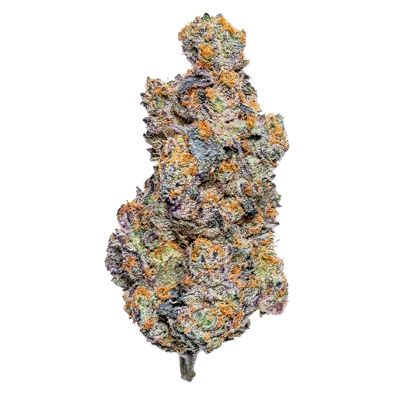 Conspiracy 3.5 g Reptilian Reserve Flower