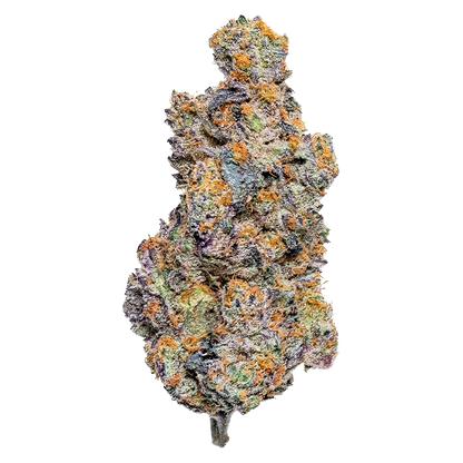 Conspiracy 3.5 g Reptilian Reserve Flower