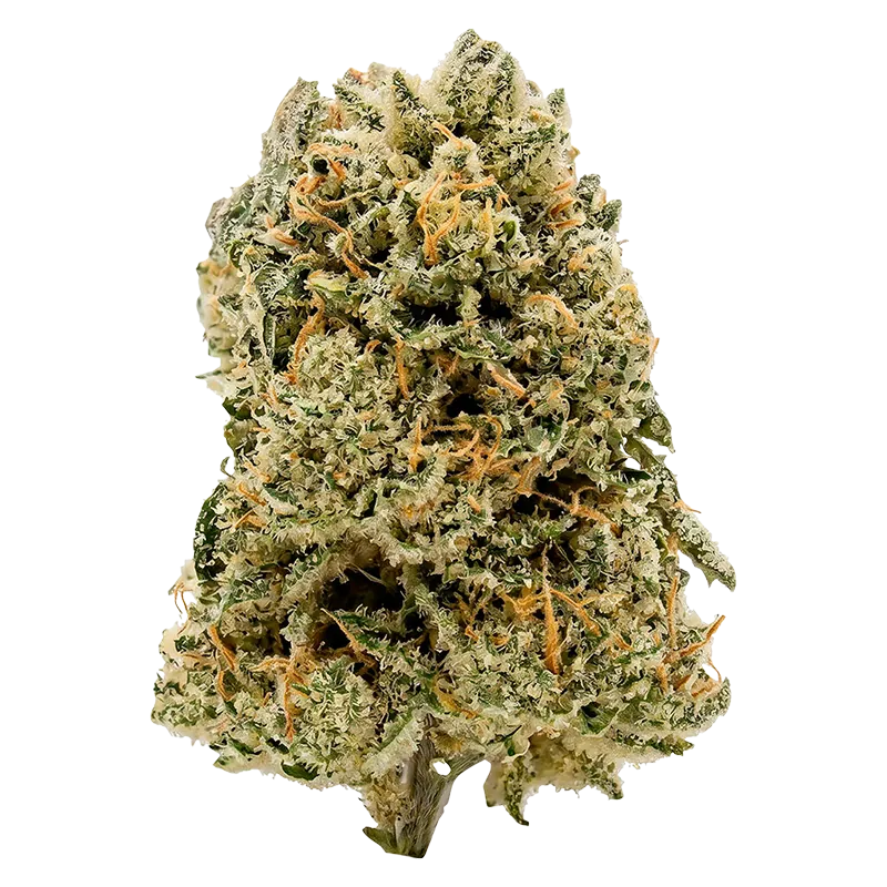 OVERTIME 28 g Payday Pack Flower