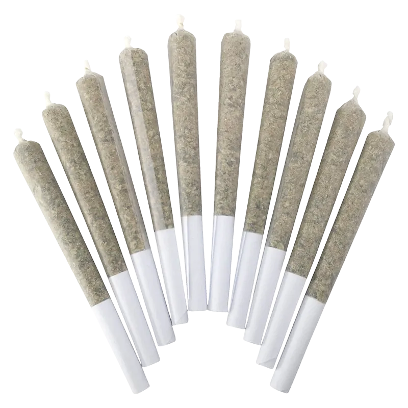 BC Doobies 5 g White Chocolate PR 10 x 0.5 g Pre-Rolls