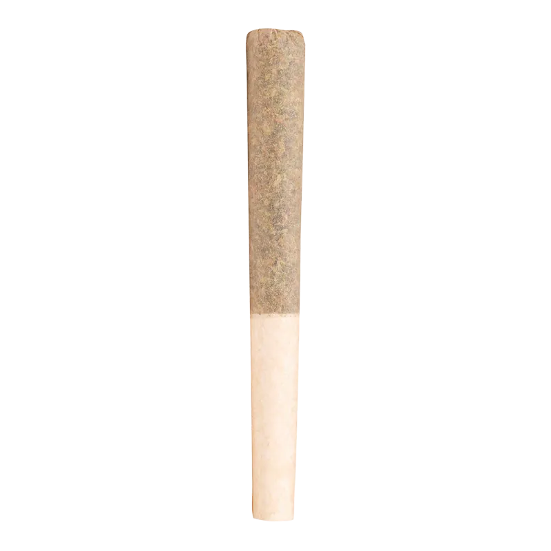 Cheers Cannabis 3.5 g Pomelo Soda PR 10 x 0.35 g Pre-Rolls