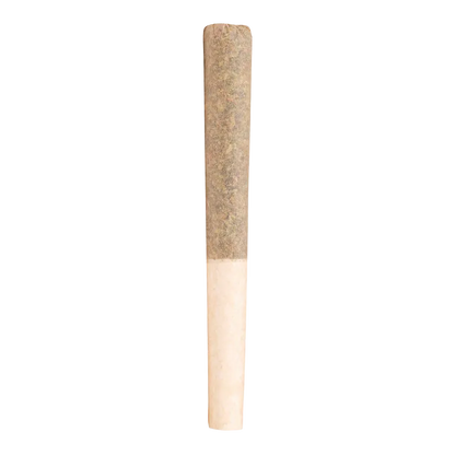 Cheers Cannabis 3.5 g Pomelo Soda PR 10 x 0.35 g Pre-Rolls