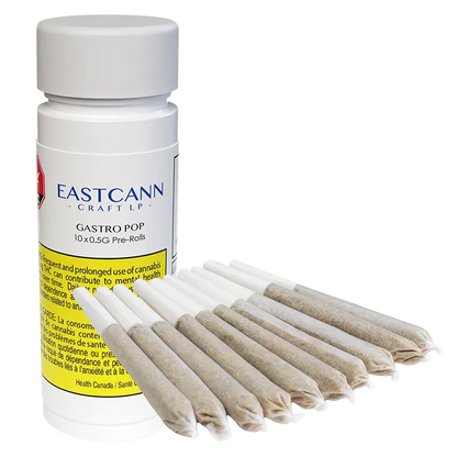 Gastro Pop PR 10 x 0.5 g