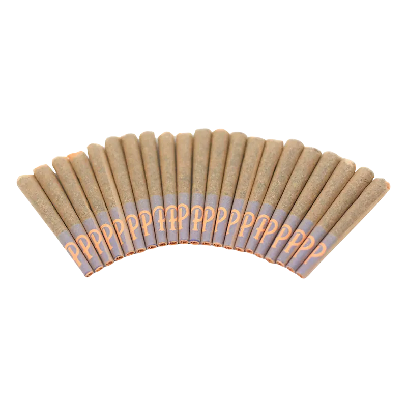 Purple Hills 10 g Gelato 41 PR 20 x 0.5 g Pre-Rolls