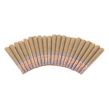 Purple Hills 10 g Gelato 41 PR 20 x 0.5 g Pre-Rolls
