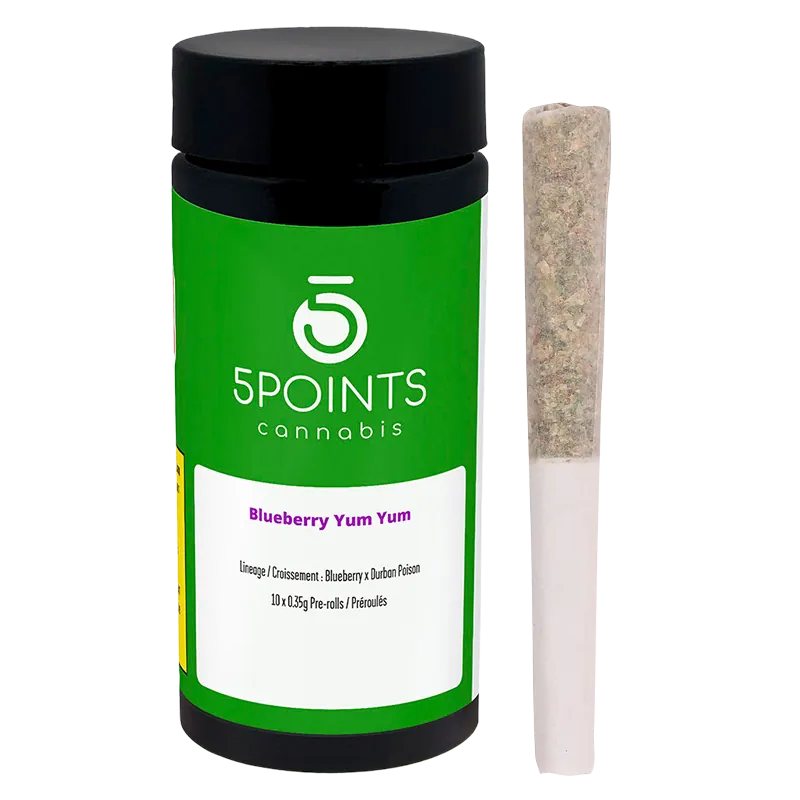 5 Points Cannabis 3.5 g Blueberry Yum Yum PR 10 x 0.35 g Pre-Rolls