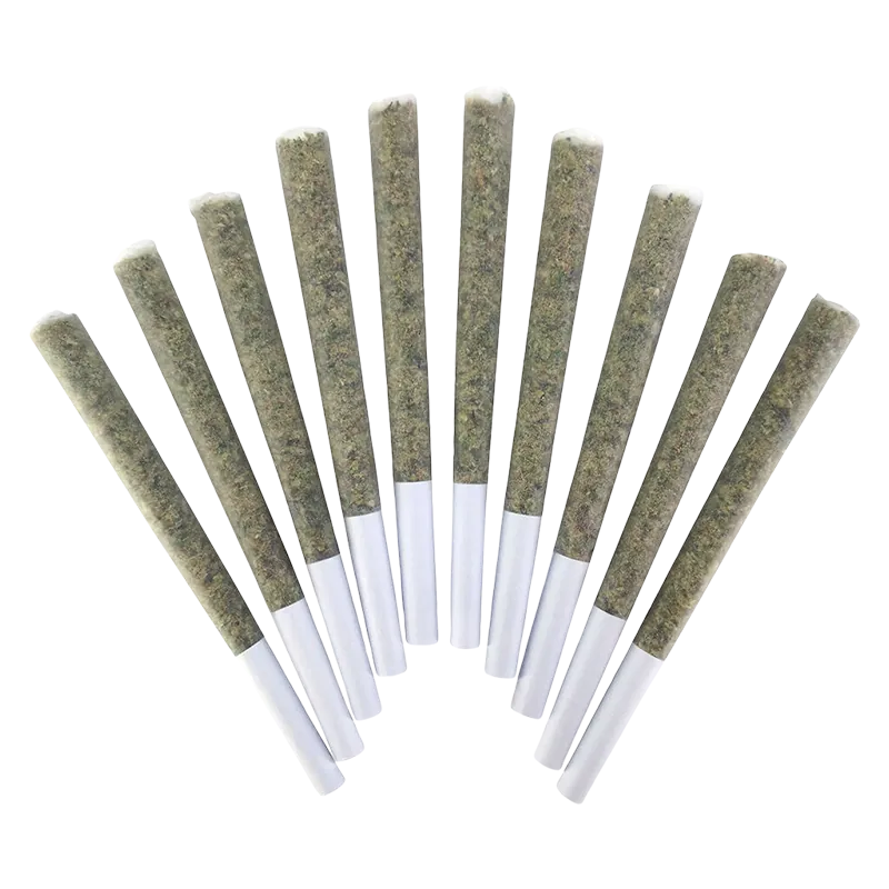BC Doobies 5 g VelcroZ PR 10 x 0.5 g Pre-Rolls
