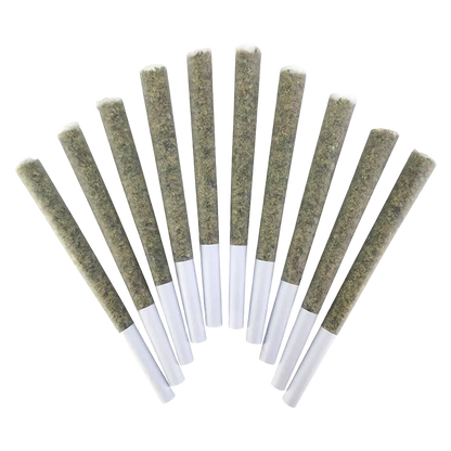BC Doobies 5 g VelcroZ PR 10 x 0.5 g Pre-Rolls