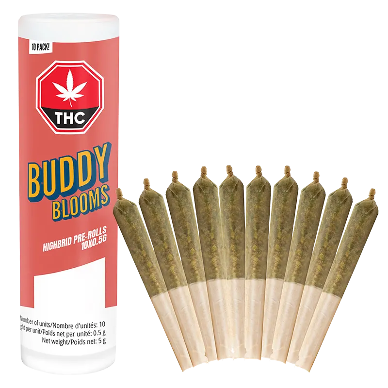 Buddy Blooms 5 g Highbrid PR 10 x 0.5 g Pre-Rolls