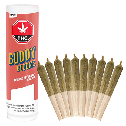 Buddy Blooms 5 g Highbrid PR 10 x 0.5 g Pre-Rolls