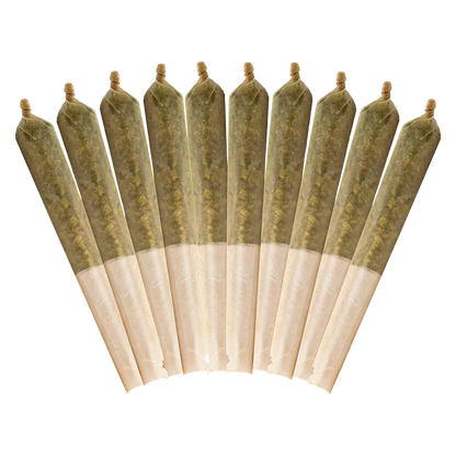 Buddy Blooms 5 g Highbrid PR 10 x 0.5 g Pre-Rolls