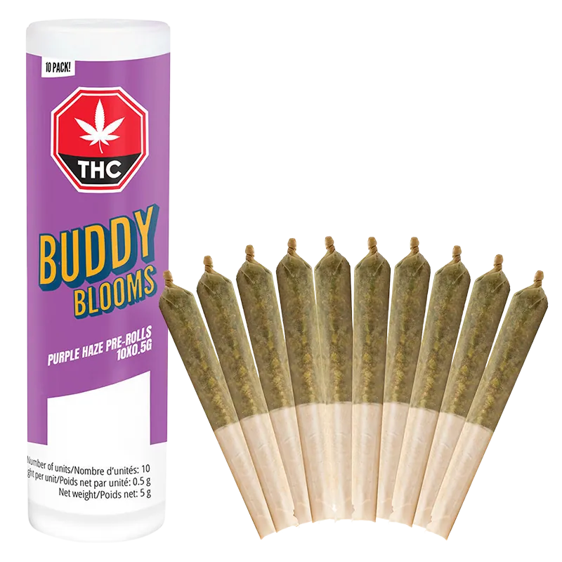 Buddy Blooms 5 g Purple Haze PR 10 x 0.5 g Pre-Rolls