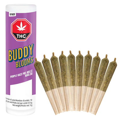 Buddy Blooms 5 g Purple Haze PR 10 x 0.5 g Pre-Rolls