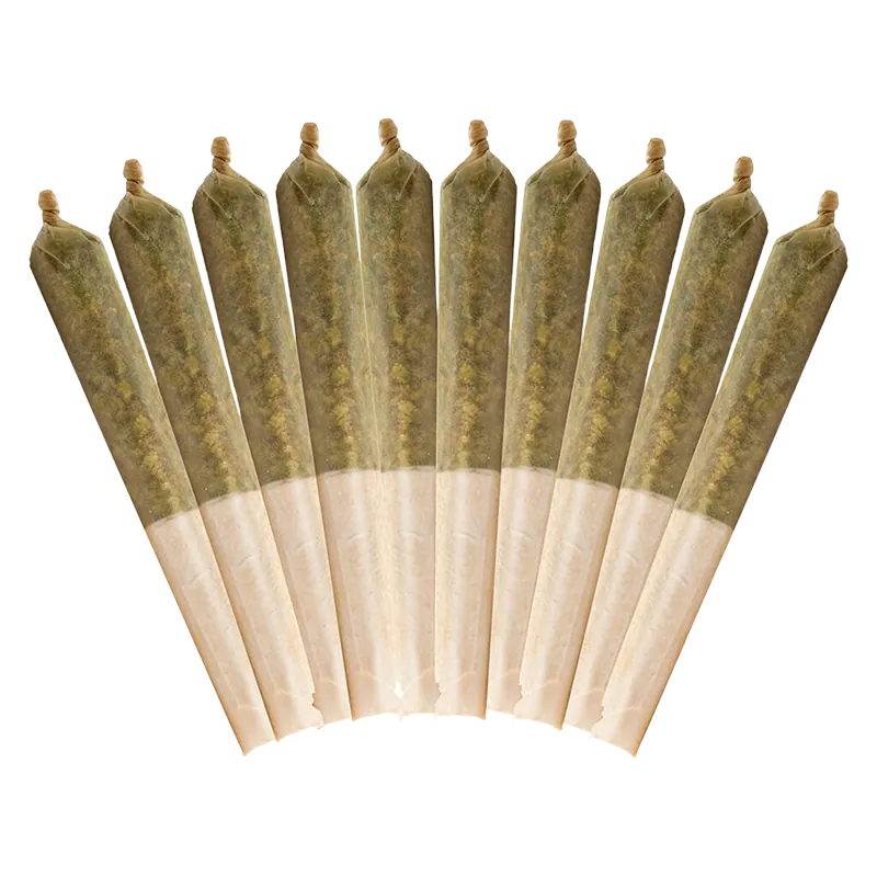 Buddy Blooms 5 g Purple Haze PR 10 x 0.5 g Pre-Rolls