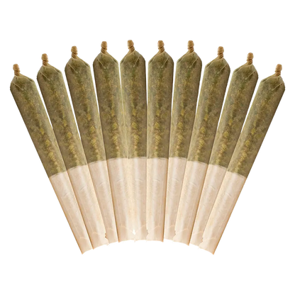 Buddy Blooms 5 g Purple Haze PR 10 x 0.5 g Pre-Rolls