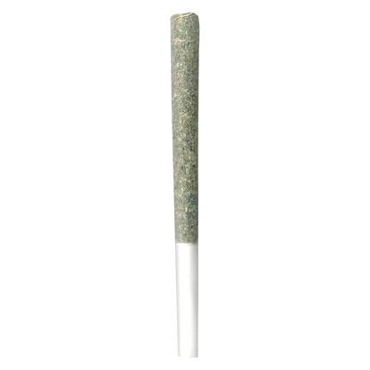 Irony 3.5 g Gelato Punch PR 10 x 0.35 g Pre-Rolls