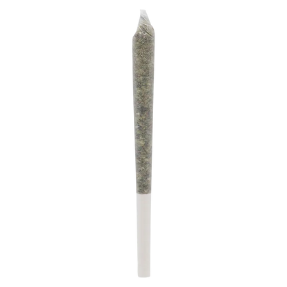PIXEL 3.5 g AK 47 PR 10 x 0.35 g Pre-Rolls