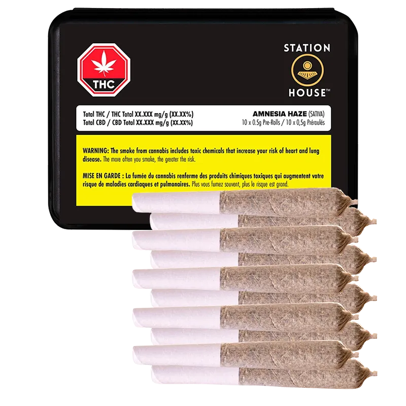 Station House 5 g Amnesia Haze PR 10 x 0.5 g Pre-Rolls