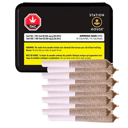 Station House 5 g Amnesia Haze PR 10 x 0.5 g Pre-Rolls