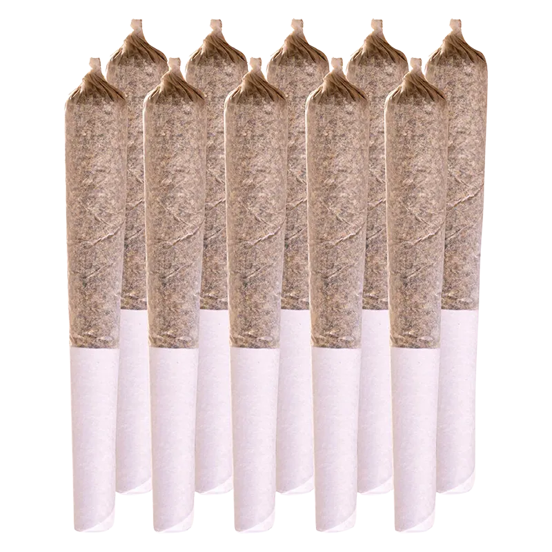 Station House 5 g Amnesia Haze PR 10 x 0.5 g Pre-Rolls