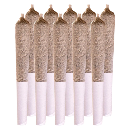 Station House 5 g Amnesia Haze PR 10 x 0.5 g Pre-Rolls