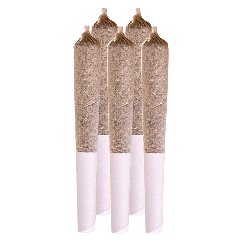 Station House 2.5 g Amnesia Haze PR 5 x 0.5 g Pre-Rolls