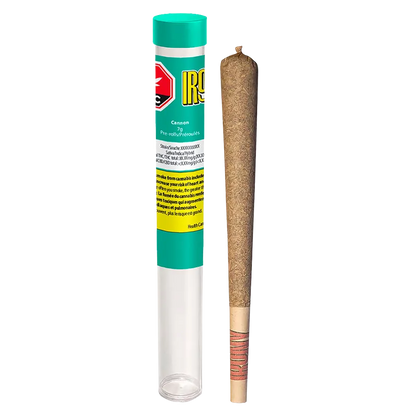 Cannon PR 1 x 7 g