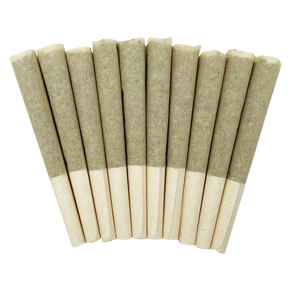 SKOSHA 5 g Crab Cakes PR 10 x 0.5 g Pre-Rolls
